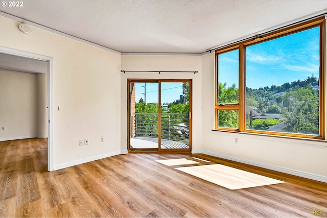 unfurnished room featuring ornamental molding, a textured ceiling, and light wood-type flooring