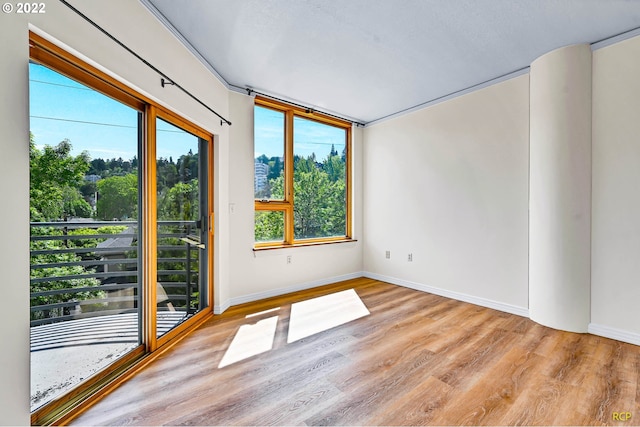 unfurnished room featuring light hardwood / wood-style flooring and a wealth of natural light