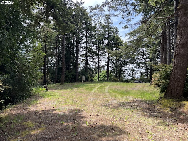 Listing photo 3 for Hensley Hill Rd, Port Orford OR 97465