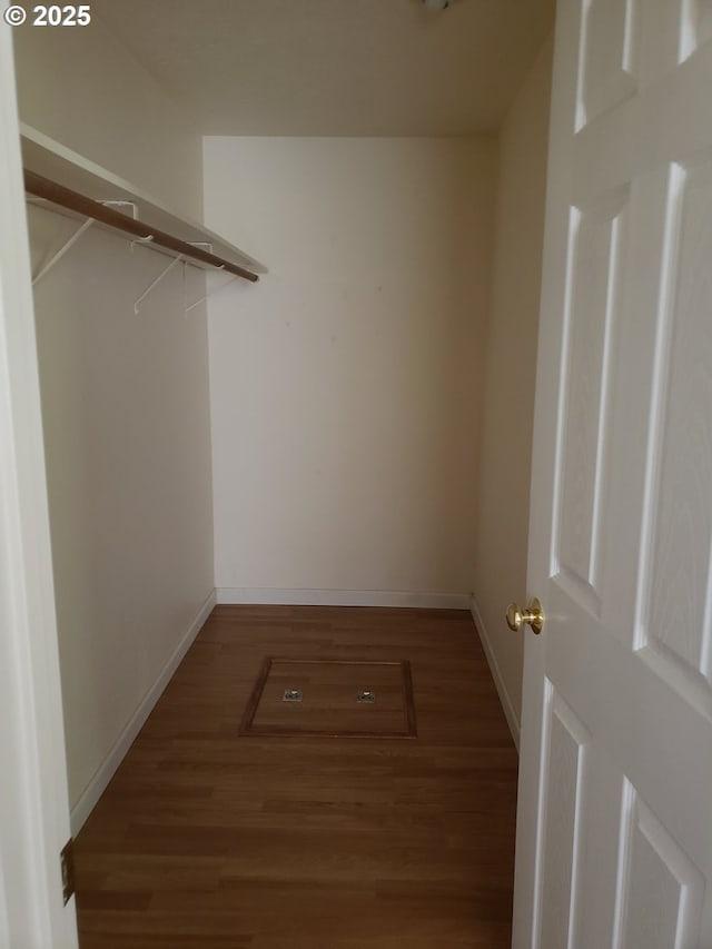 spacious closet featuring dark hardwood / wood-style floors