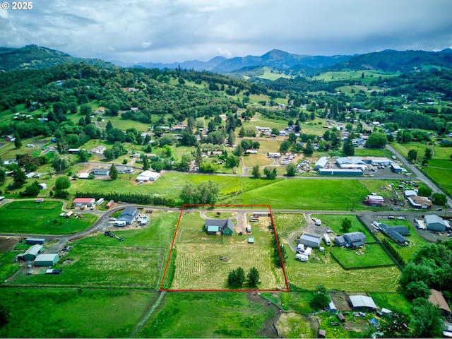 222 Twin Springs Ln, Roseburg, OR 97470 - view of property location with mountains and property parcel outlined