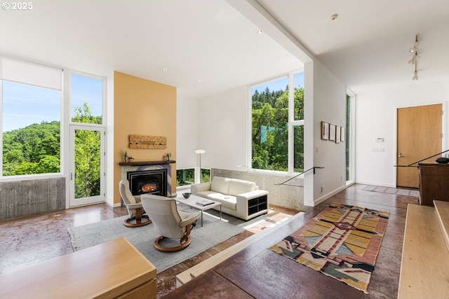 living room featuring a glass covered fireplace and rail lighting