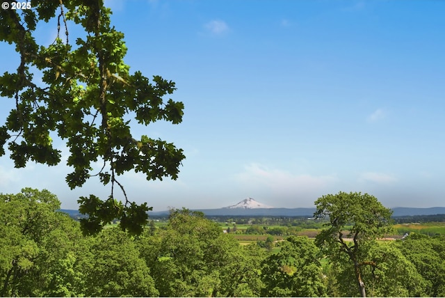 view of mountain backdrop