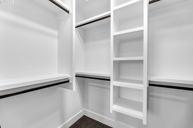 view of walk in closet