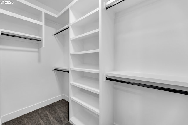 spacious closet with dark colored carpet