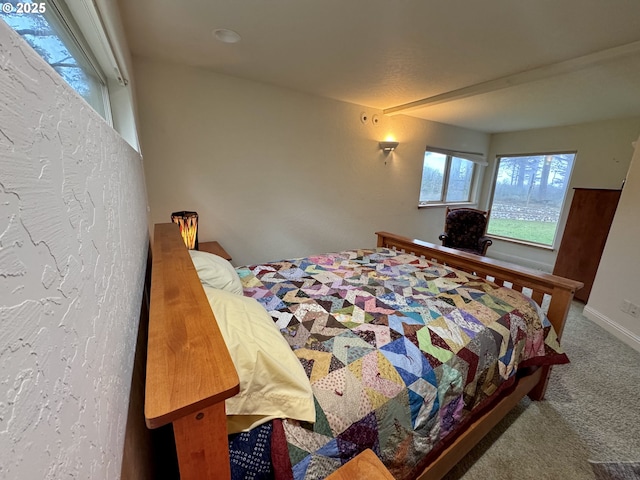 31640 Spruce Dr, Gold Beach, OR 97444 - bedroom featuring baseboards and carpet floors