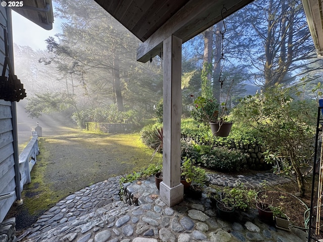 31640 Spruce Dr, Gold Beach, OR 97444 - view of yard