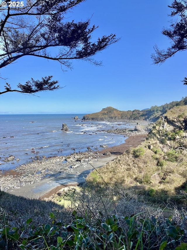 31640 Spruce Dr, Gold Beach, OR 97444 - property view of water