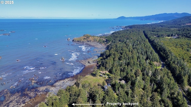 31640 Spruce Dr, Gold Beach, OR 97444 - aerial view featuring a forest view and a water and mountain view