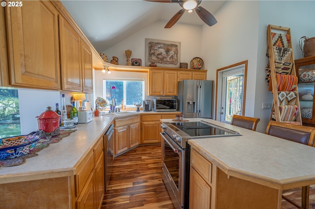 kitchen featuring high vaulted ceiling, dark wood-type flooring, light countertops, a sink, and appliances with stainless steel finishes