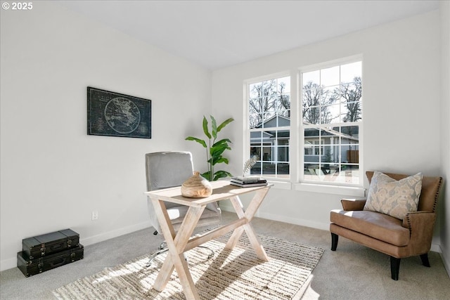 carpeted office space featuring plenty of natural light