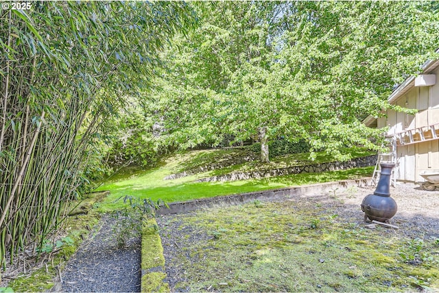 16500 SW Satterberg Rd, Beaverton, OR 97007 - view of yard