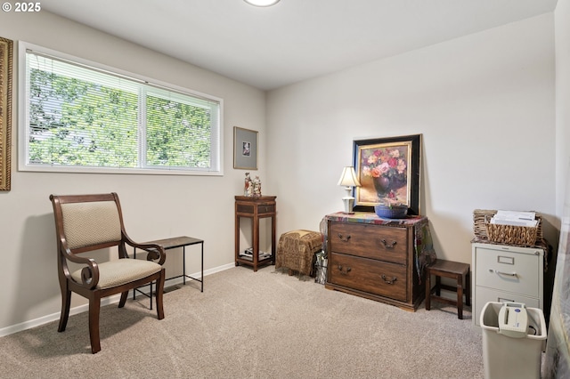 6985 SW Florence Ln, Portland, OR 97223 - sitting room with carpet floors and baseboards