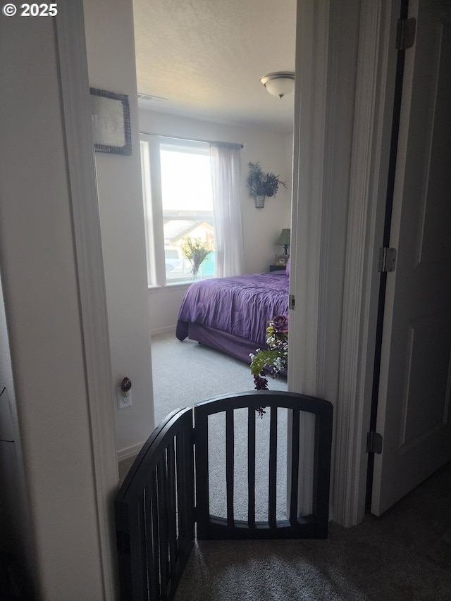 bedroom with carpet floors