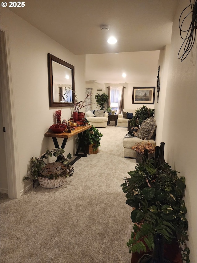 corridor with carpet