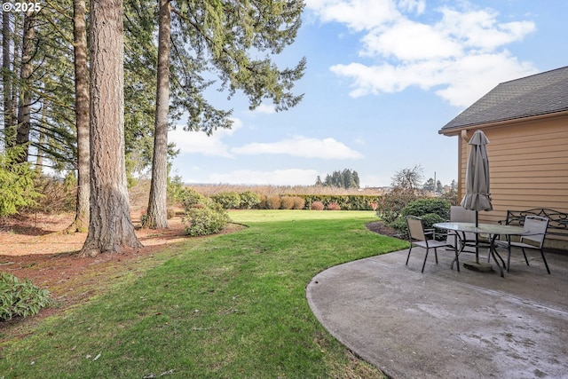 view of yard with a patio