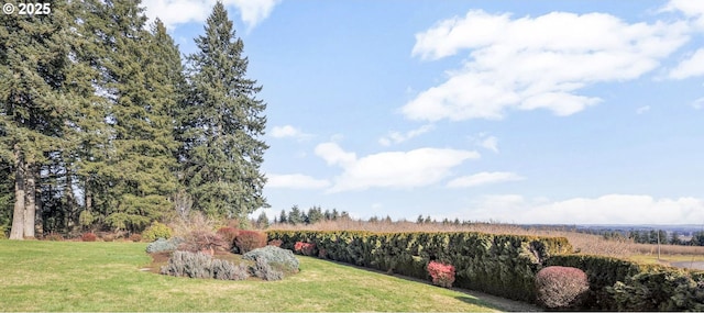 view of yard featuring a rural view