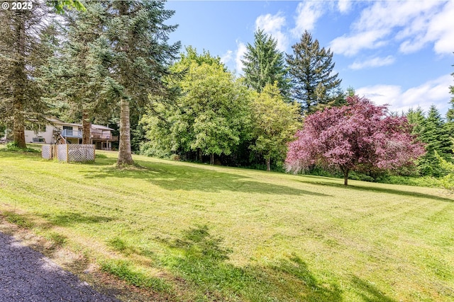 32505 Viewcrest Dr, Warren, OR 97053 - view of green lawn