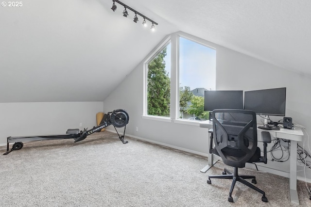 11255 SW Chickadee Ter, Beaverton, OR 97007 - office area featuring vaulted ceiling, carpet, baseboards, and rail lighting