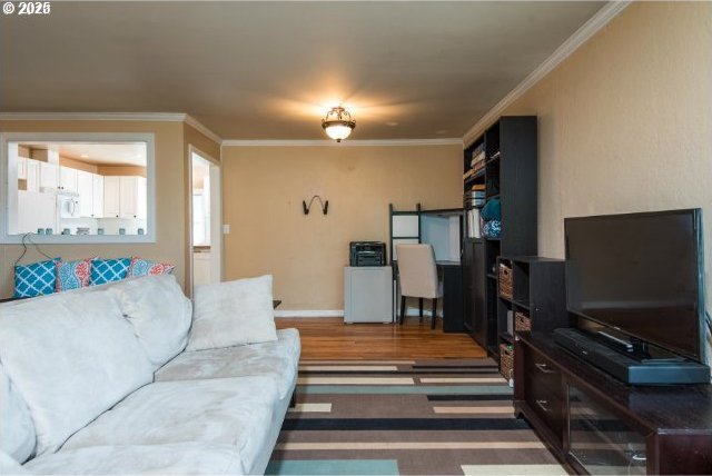 living room with baseboards and ornamental molding