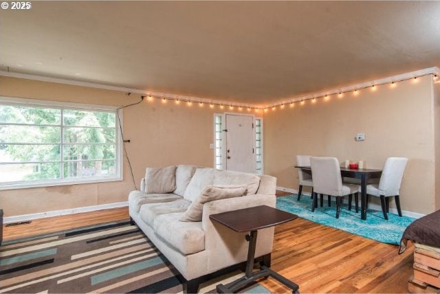 living room with baseboards and wood finished floors