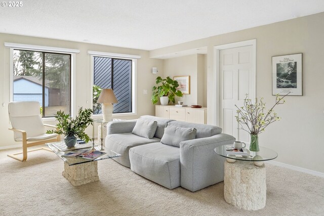 living room with carpet and baseboards