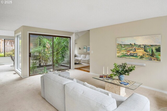living room featuring baseboards, a textured ceiling, and light colored carpet