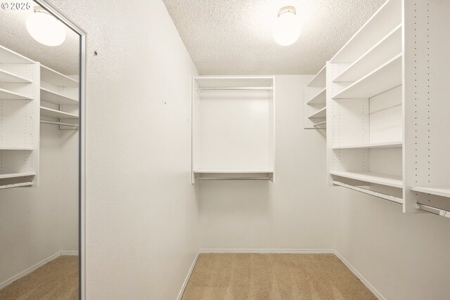 walk in closet with carpet floors