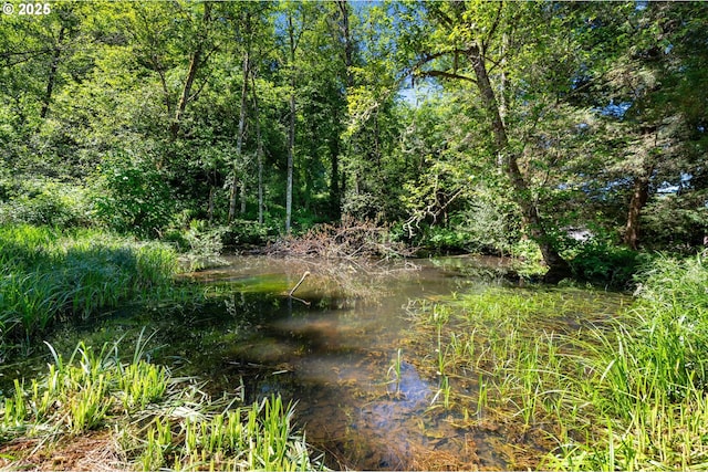 3412 NE 399th St, La Center, WA 98629 - view of undeveloped land