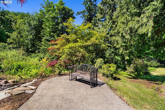 3412 NE 399th St, La Center, WA 98629 - view of home's community with a view of trees