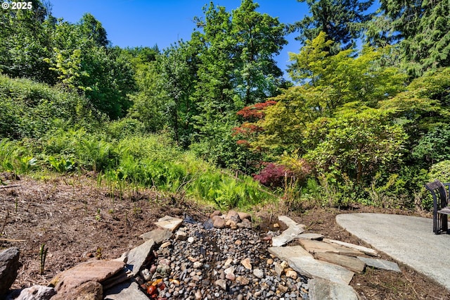 3412 NE 399th St, La Center, WA 98629 - view of yard