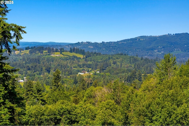 3412 NE 399th St, La Center, WA 98629 - view of mountain background featuring a heavily wooded area