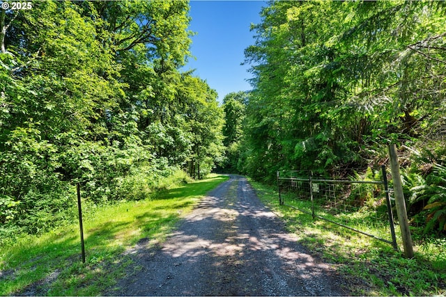 3412 NE 399th St, La Center, WA 98629 - view of dirt / gravel road featuring a view of trees
