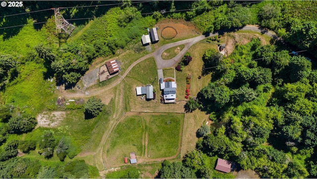 3412 NE 399th St, La Center, WA 98629 - bird's eye view