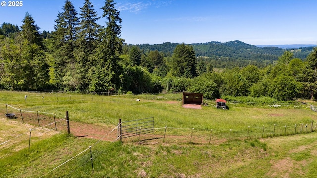 3412 NE 399th St, La Center, WA 98629 - mountain view featuring a forest and rural landscape