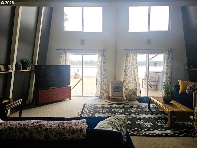 living room featuring a wealth of natural light, carpet floors, a high ceiling, and a wood stove