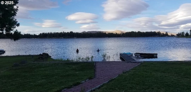 dock area featuring a lawn and a water view