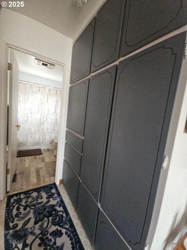 bathroom featuring wood-type flooring