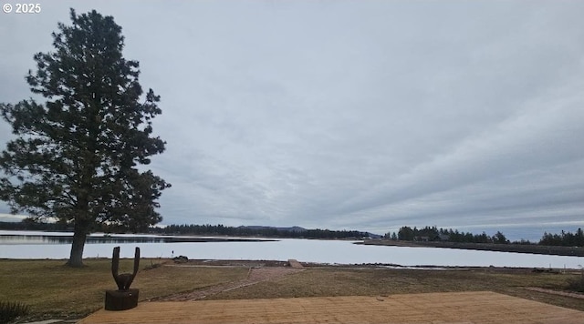 view of water feature