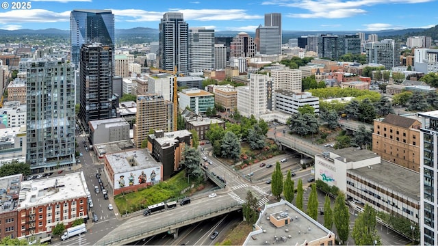 20 NW 16th Ave Unit 4, Portland, OR 97209 - view of city with mountains