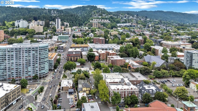 20 NW 16th Ave Unit 4, Portland, OR 97209 - view of urban area with a mountain backdrop