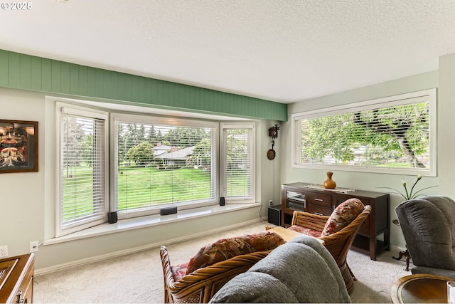 7605 SW Arbor Glen Ct, Wilsonville, OR 97070 - sitting room featuring carpet, plenty of natural light, and a textured ceiling