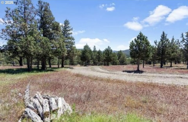 view of landscape featuring a rural view