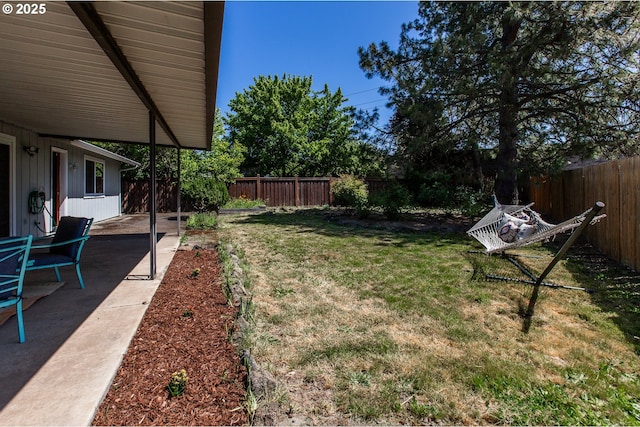 view of yard featuring a patio area