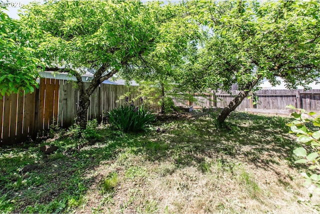 view of fenced backyard