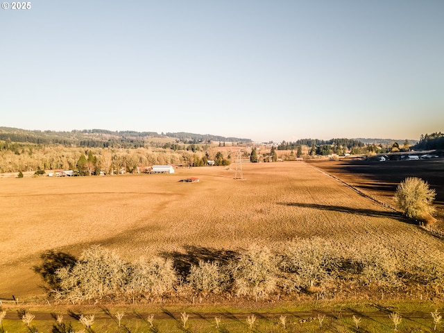 view of yard featuring a rural view