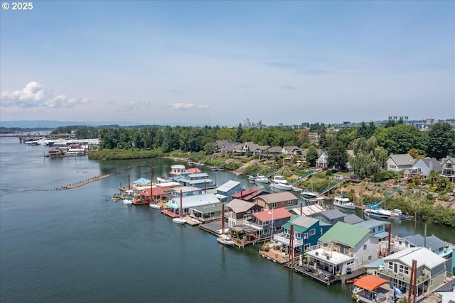 460 N Tomahawk Island Dr, Portland, OR 97217 - aerial view of a large body of water