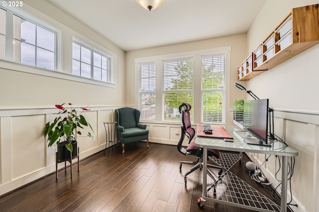 office featuring a wainscoted wall, dark wood-type flooring, and a decorative wall