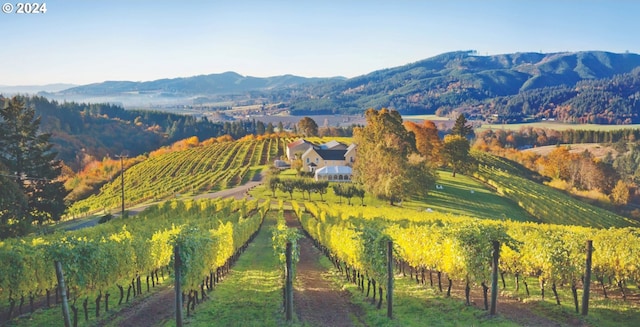 819 Misty Ln, Forest Grove, OR 97116 - view of mountain background featuring rural landscape and rows of crops