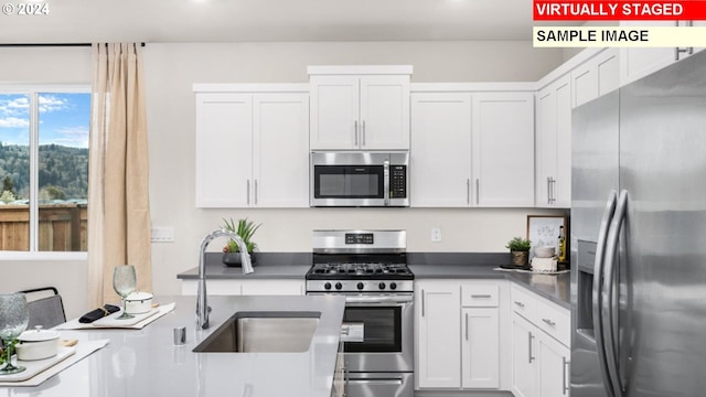 kitchen featuring a sink, stainless steel appliances, and white cabinets